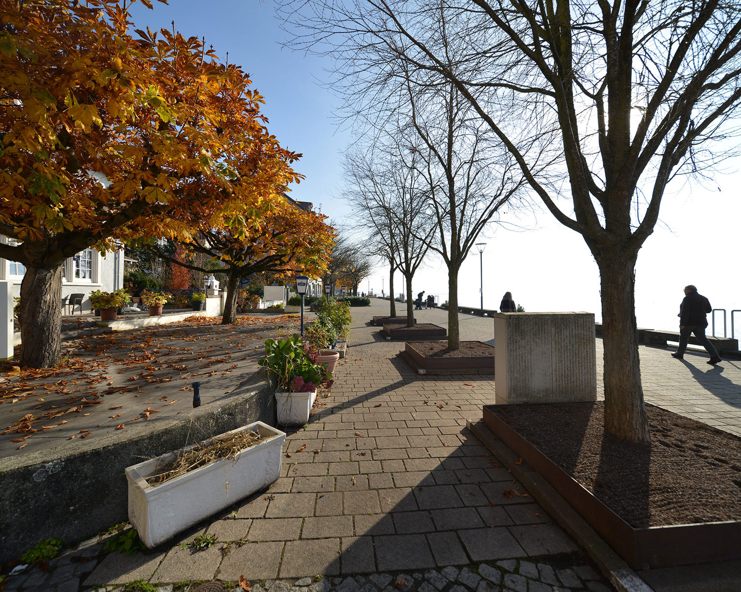 herbstliche stille